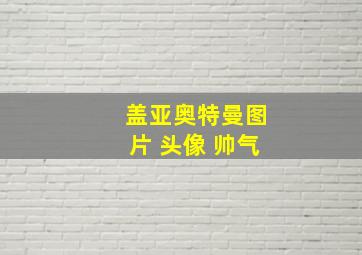 盖亚奥特曼图片 头像 帅气